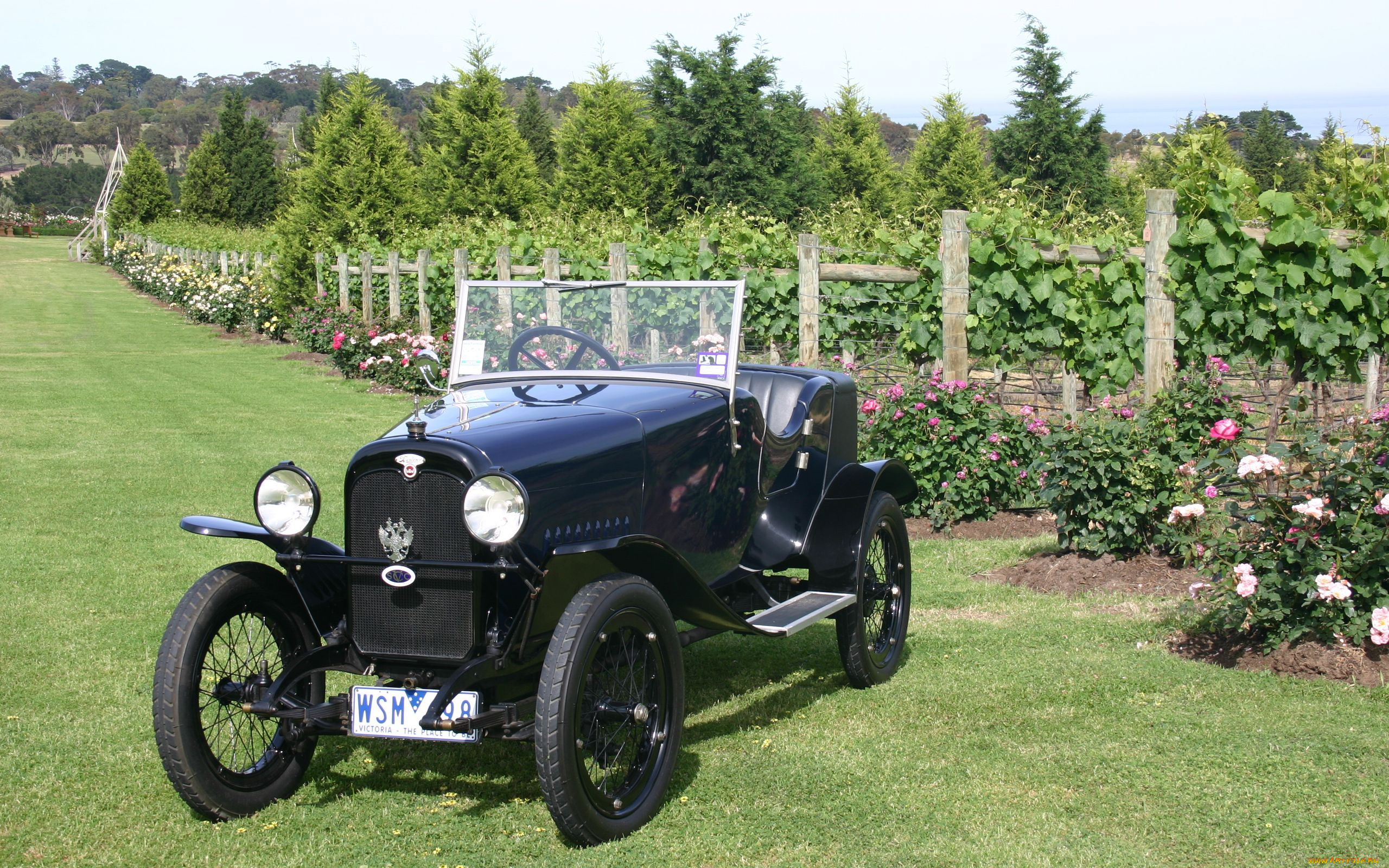 , , 1924, wanderer, 